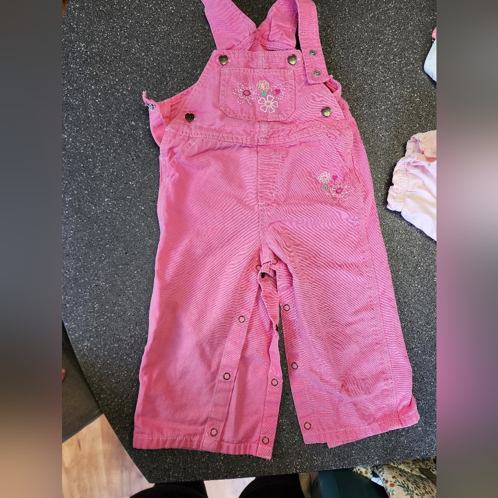 Carhart overalls